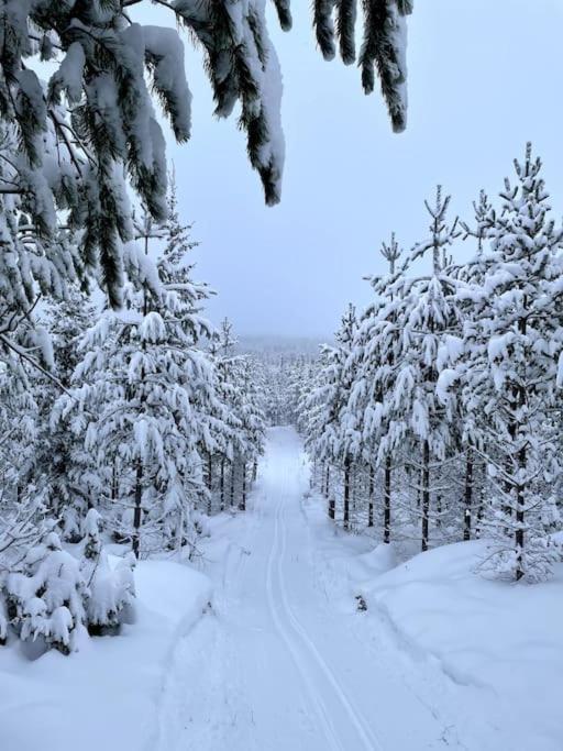 Cozy Mountain View Apartment Orrviken Экстерьер фото
