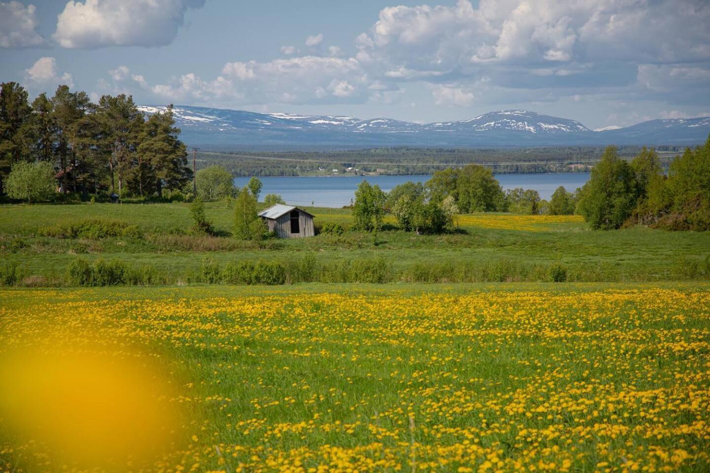Cozy Mountain View Apartment Orrviken Экстерьер фото